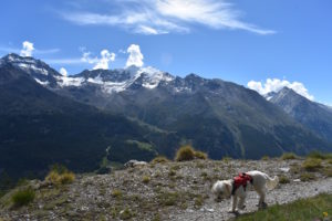 Saas Fee to Grachen Hiking Swiss Alps