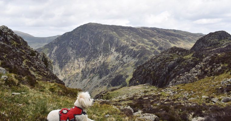 Haystacks and Fleetwith Pike
