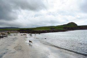 Oronsay Island, Ullinish walking route