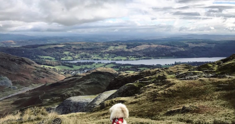 Old Man of Coniston Circuit