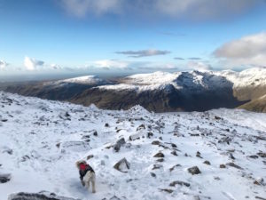 Tips for Winter Hiking with your dog