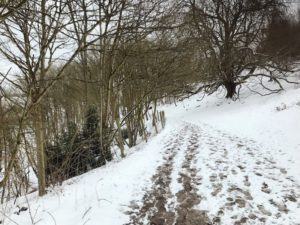 The Chilterns Coombe Hill Circuit walking directions