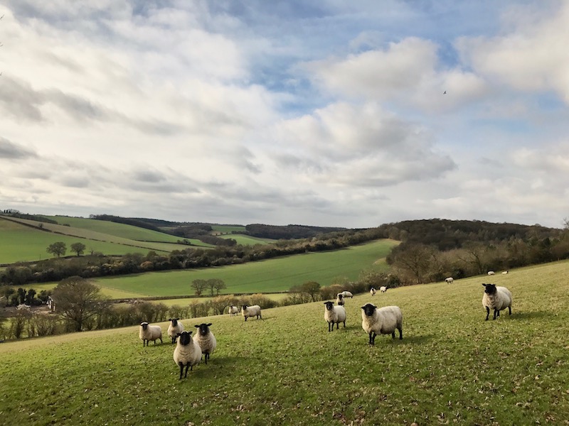 The Chilterns: West Wycombe Circuit walking directions and map