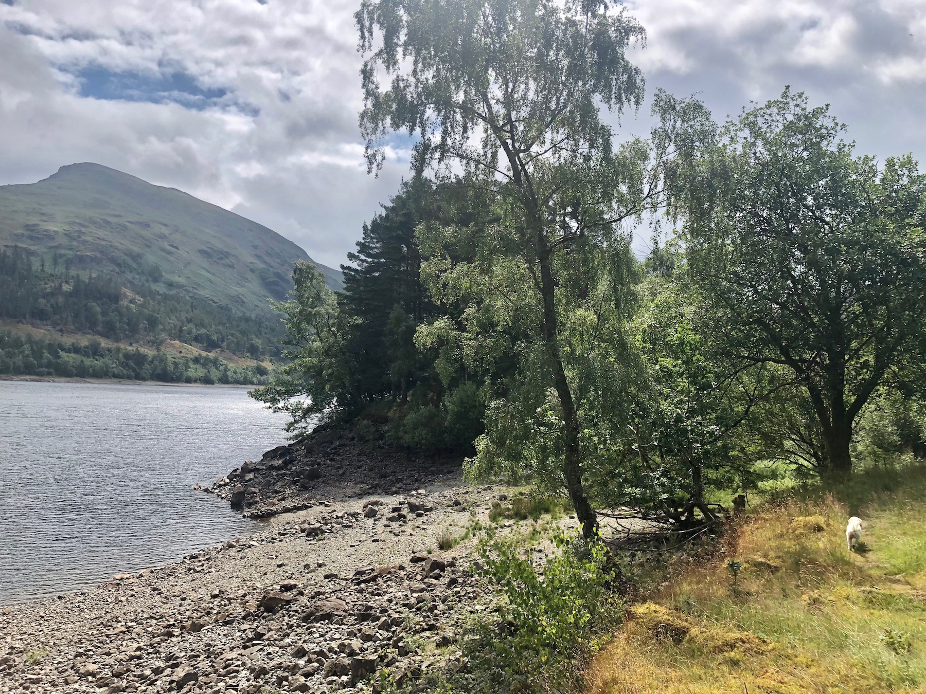 Thirlmere and Harrop Tarn Walk route and directions