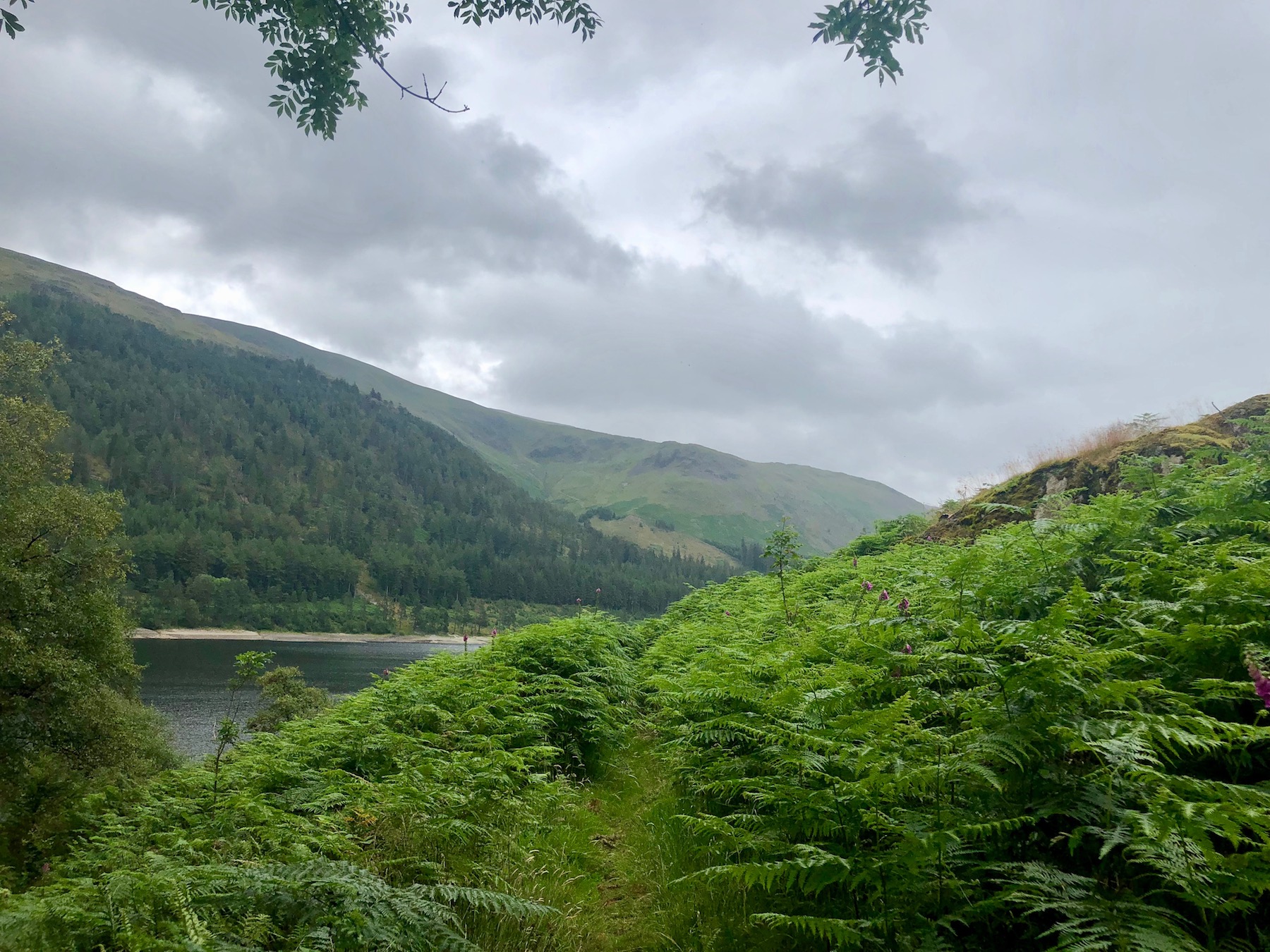 Thirlmere and Harrop Tarn Walk route and directions